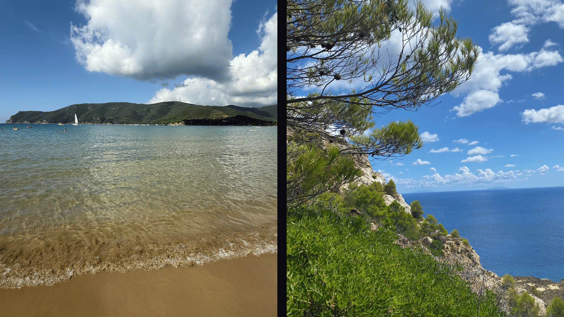 WindroseAir_Elba4