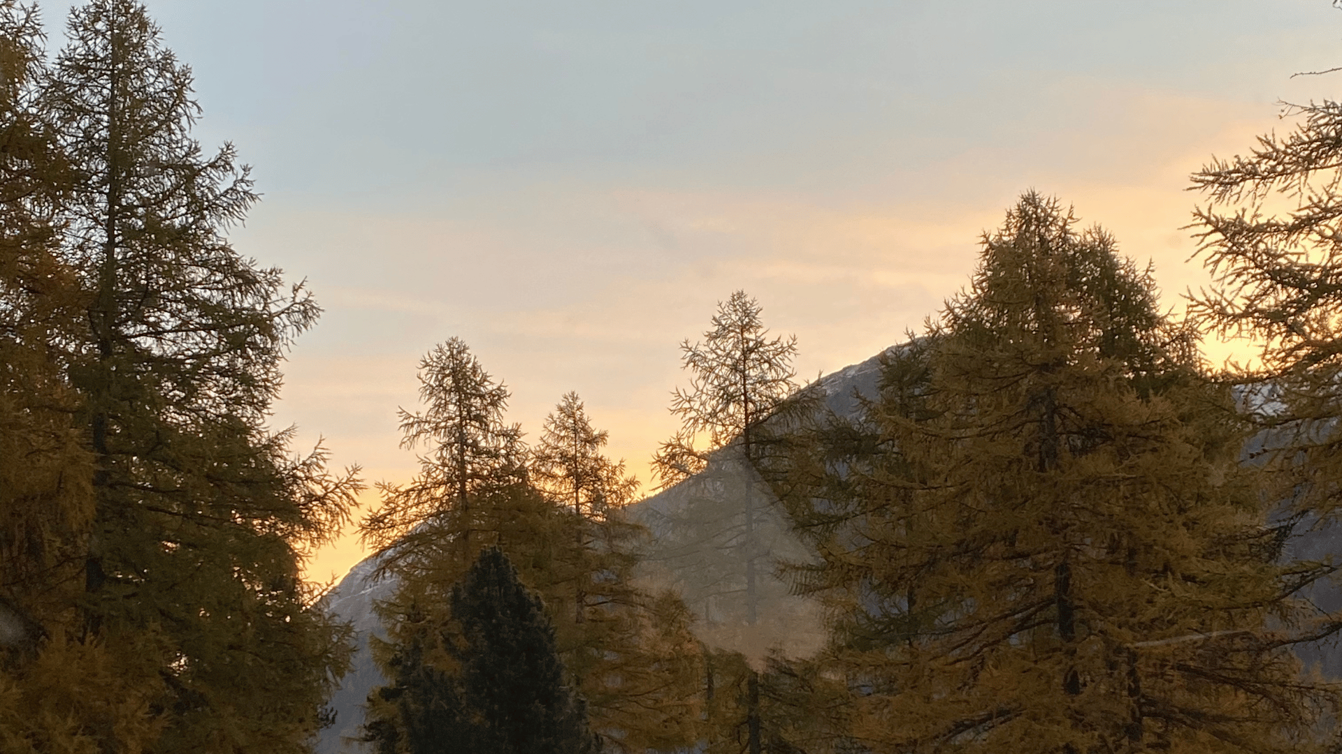 WindroseAir_Engadin2